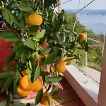Mary's Garden Ferienhaus Tulisevica