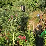 Mary's Garden Ferienhaus *