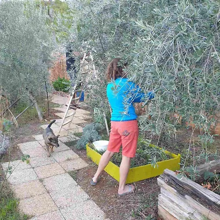 Mary's Garden * Tulisevica