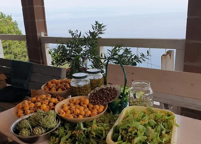 Mary's Garden Сasa de vacaciones *