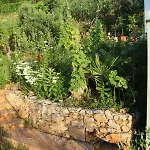 Mary's Garden