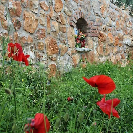 Ferienhaus Mary's Garden Tulisevica