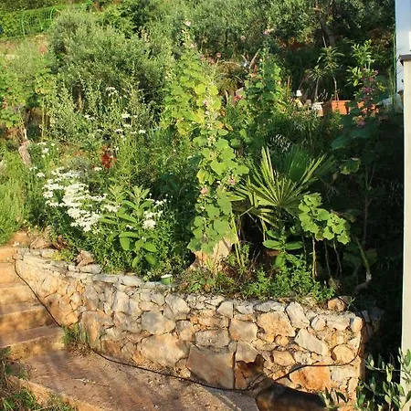 Mary's Garden