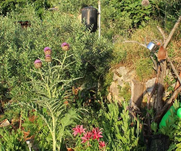 Mary's Garden Hébergement de vacances *