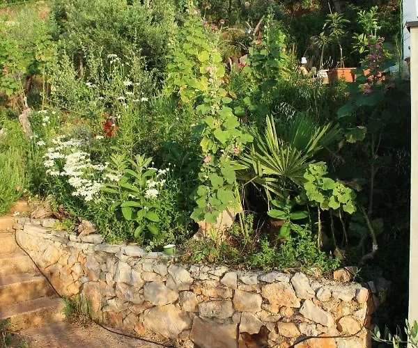 Mary's Garden